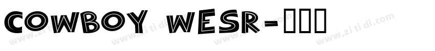 cowboy wesr字体转换